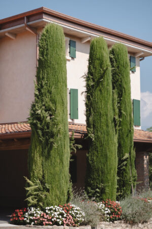 Lago di Garda Wedding Photography